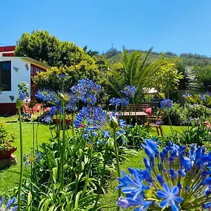 https://casa-del-mir.adeje-hotels.com